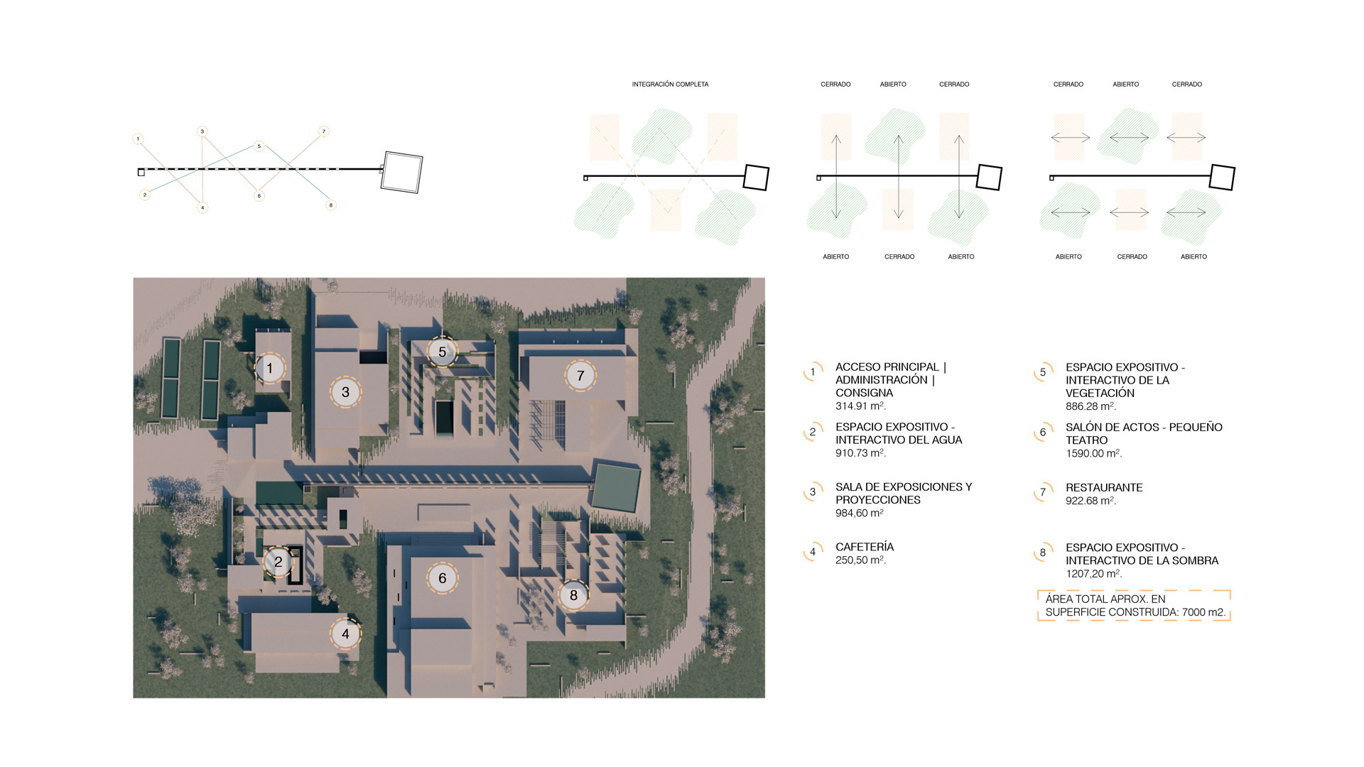 Sección y vegetación